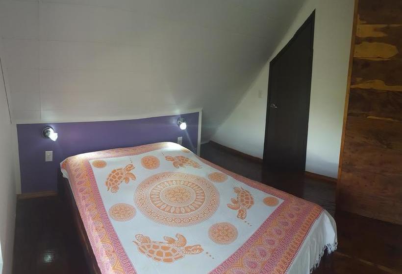 La Pepita De Marañon B&b | Las Lajas | Chiriquí | Panamá 12