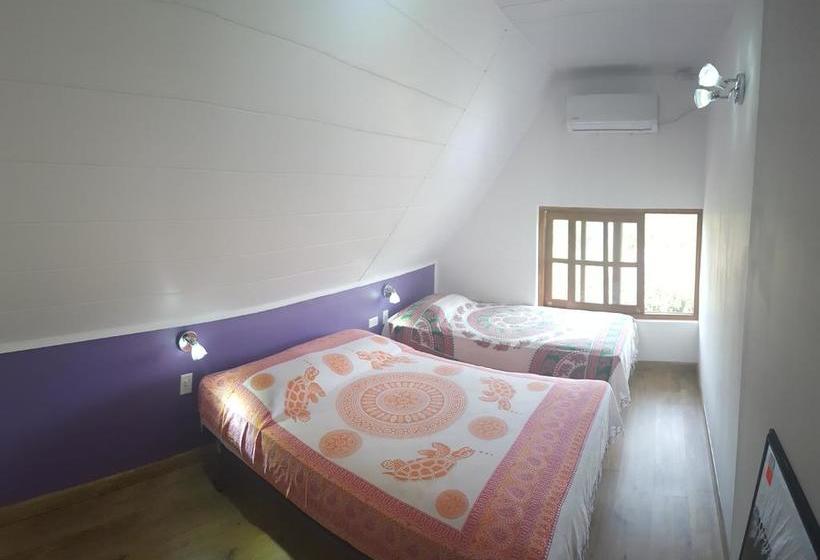 La Pepita De Marañon B&b | Las Lajas | Chiriquí | Panamá 16