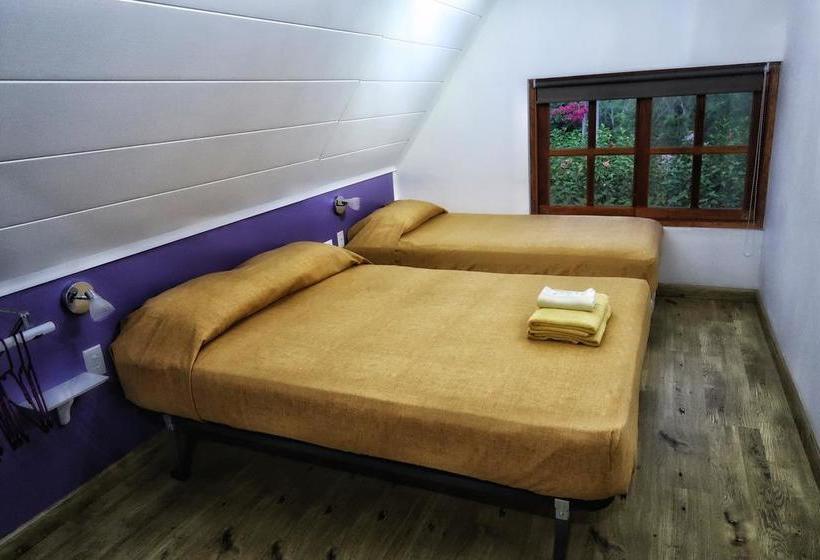 La Pepita De Marañon B&b | Las Lajas | Chiriquí | Panamá 6