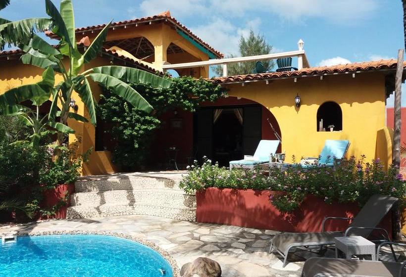 Bed and Breakfast Villa Pelicano | Las Tablas | Los Santos | Panamá 2