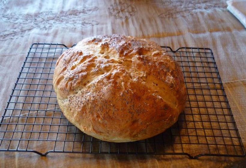 Bed and Breakfast Villa Pelicano | Las Tablas | Los Santos | Panamá 20