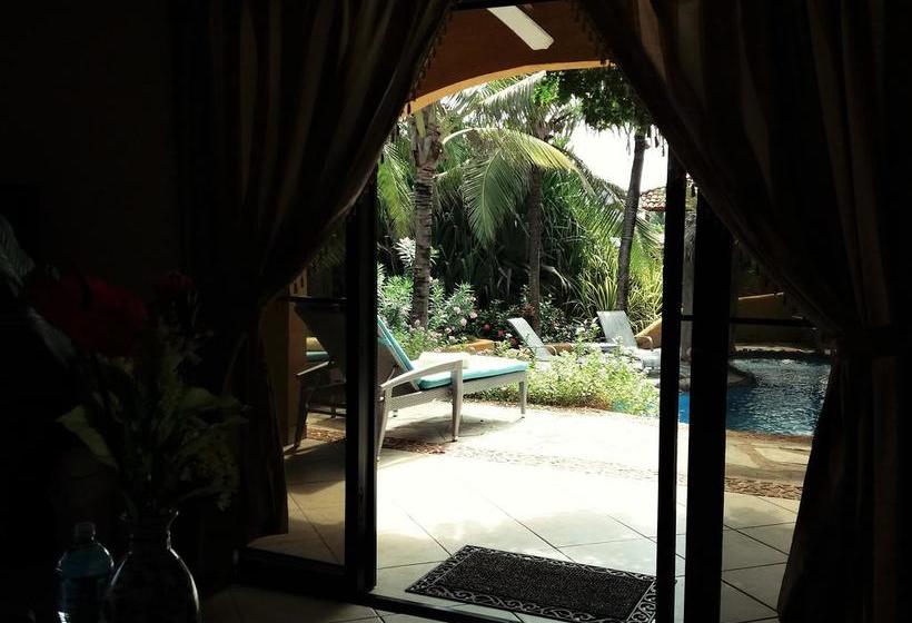 Bed and Breakfast Villa Pelicano | Las Tablas | Los Santos | Panamá 4