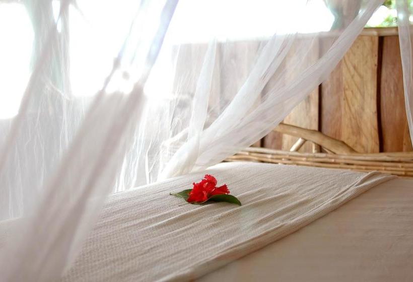 Hotel Al Natural Resort | Macca Bite | Bocas del Toro | Panamá 11