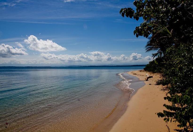 Hotel Al Natural Resort | Macca Bite | Bocas del Toro | Panamá 12