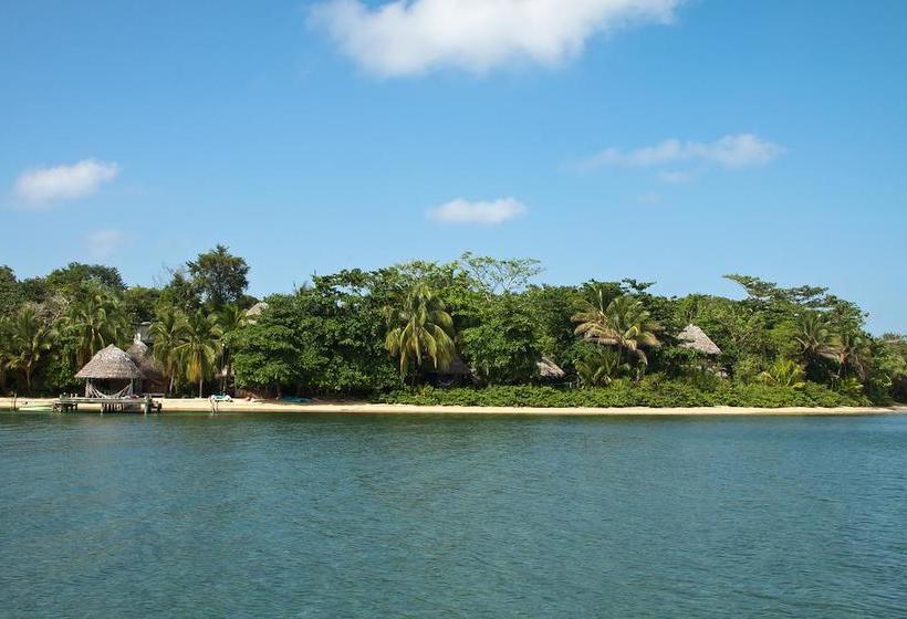 Hotel Al Natural Resort | Macca Bite | Bocas del Toro | Panamá 13