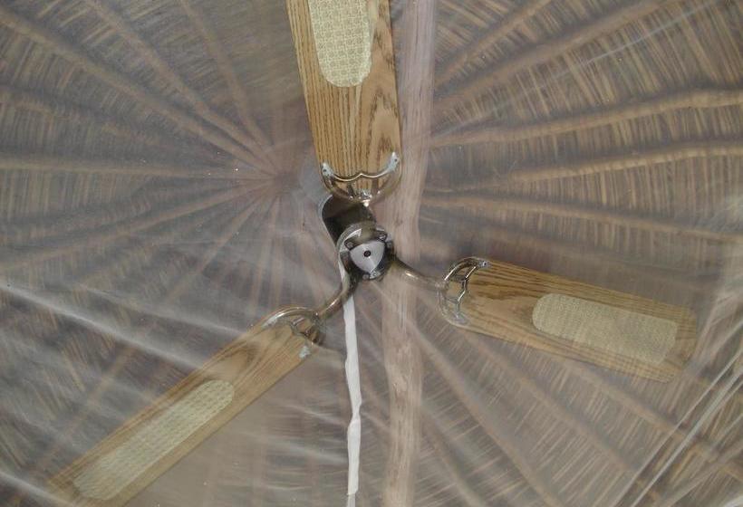 Hotel Al Natural Resort | Macca Bite | Bocas del Toro | Panamá 14