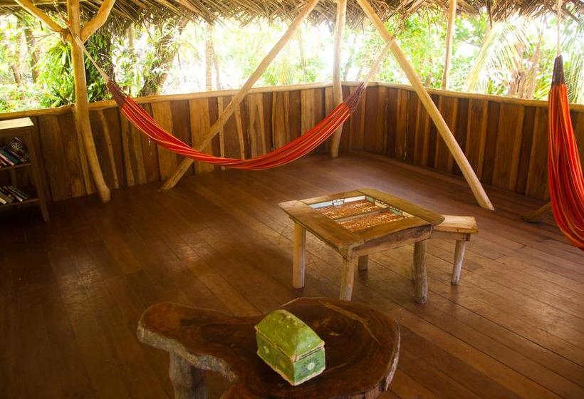 Hotel Al Natural Resort | Macca Bite | Bocas del Toro | Panamá 3