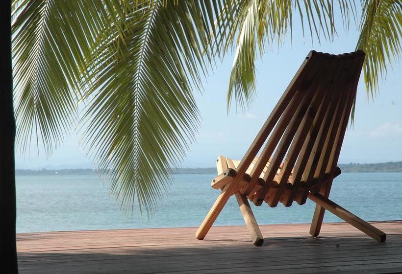 Hotel Al Natural Resort | Macca Bite | Bocas del Toro | Panamá 4