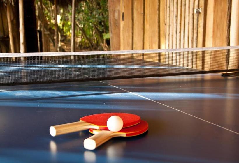 Hotel Al Natural Resort | Macca Bite | Bocas del Toro | Panamá 6