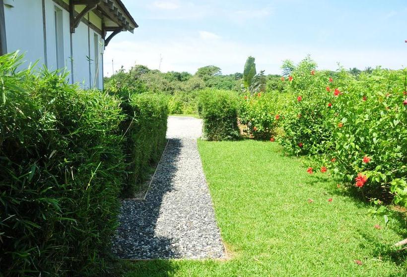 Bed and Breakfast Ravenala | Pedasí | Los Santos | Panamá 10