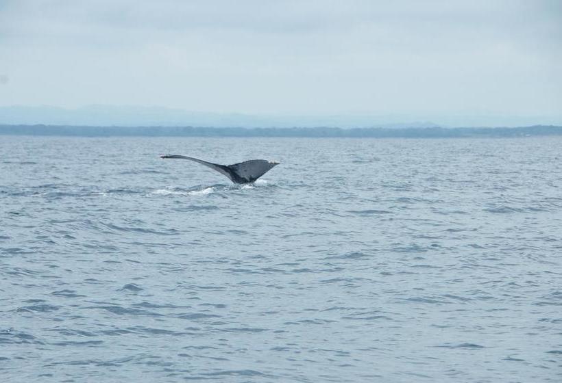 Bed and Breakfast Ravenala | Pedasí | Los Santos | Panamá 11