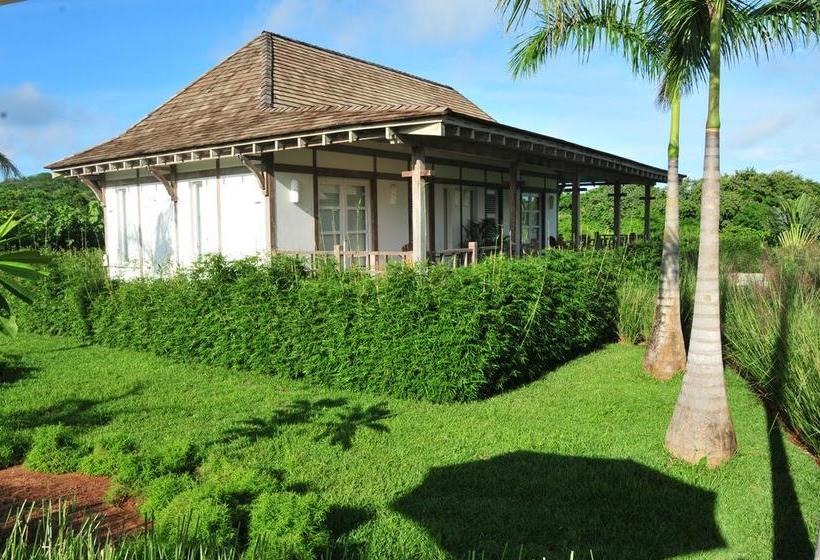 Bed and Breakfast Ravenala | Pedasí | Los Santos | Panamá 15