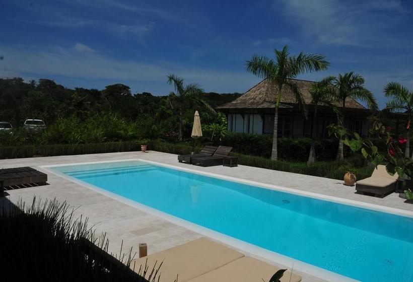 Bed and Breakfast Ravenala | Pedasí | Los Santos | Panamá 16