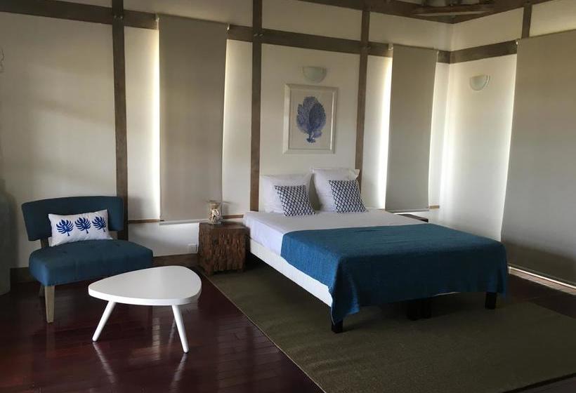 Bed and Breakfast Ravenala | Pedasí | Los Santos | Panamá 19