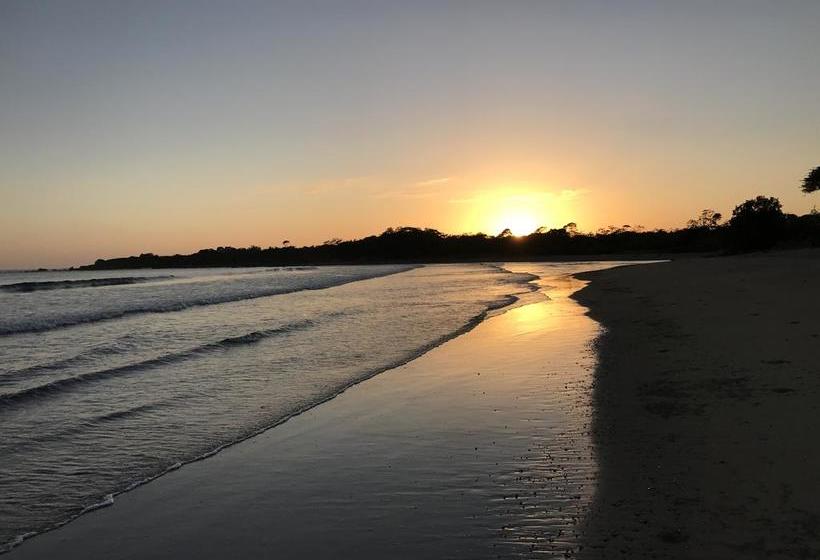 Bed and Breakfast Ravenala | Pedasí | Los Santos | Panamá 2