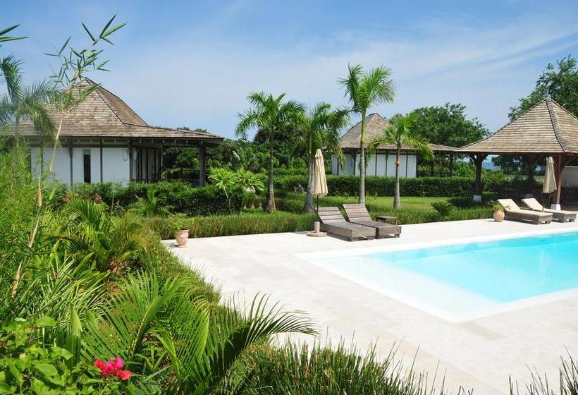 Bed and Breakfast Ravenala | Pedasí | Los Santos | Panamá 20