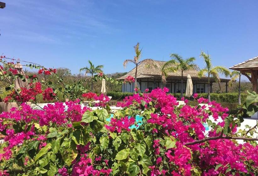 Bed and Breakfast Ravenala | Pedasí | Los Santos | Panamá 3