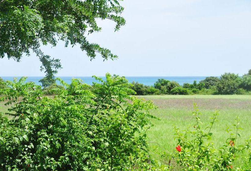 Bed and Breakfast Ravenala | Pedasí | Los Santos | Panamá 4