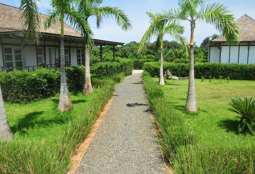 Bed and Breakfast Ravenala | Pedasí | Los Santos | Panamá 6