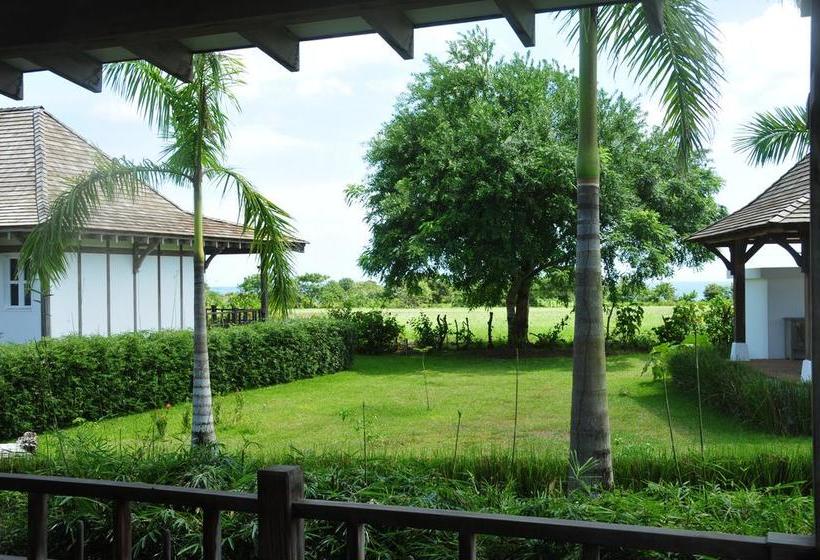 Bed and Breakfast Ravenala | Pedasí | Los Santos | Panamá 8