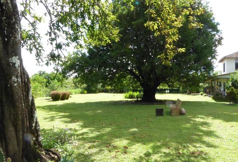 Bed and Breakfast La Rosa De Los Vientos | Pedasí | Los Santos | Panamá 1