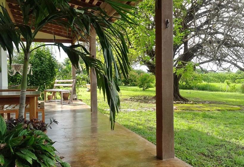 Bed and Breakfast La Rosa De Los Vientos | Pedasí | Los Santos | Panamá 11