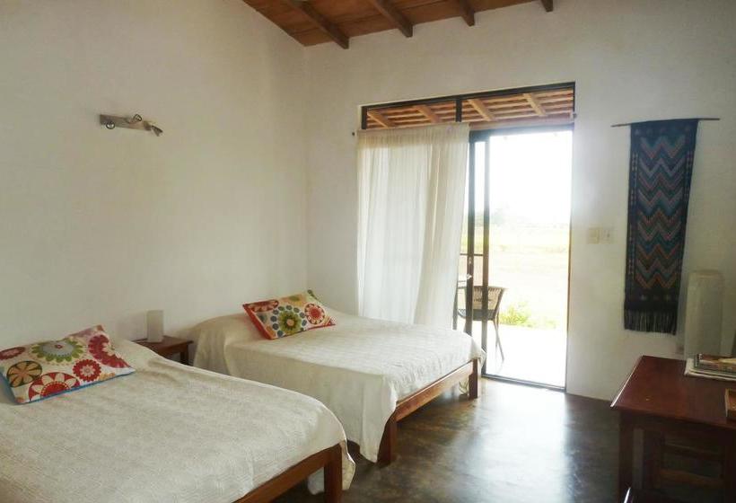 Bed and Breakfast La Rosa De Los Vientos | Pedasí | Los Santos | Panamá 13