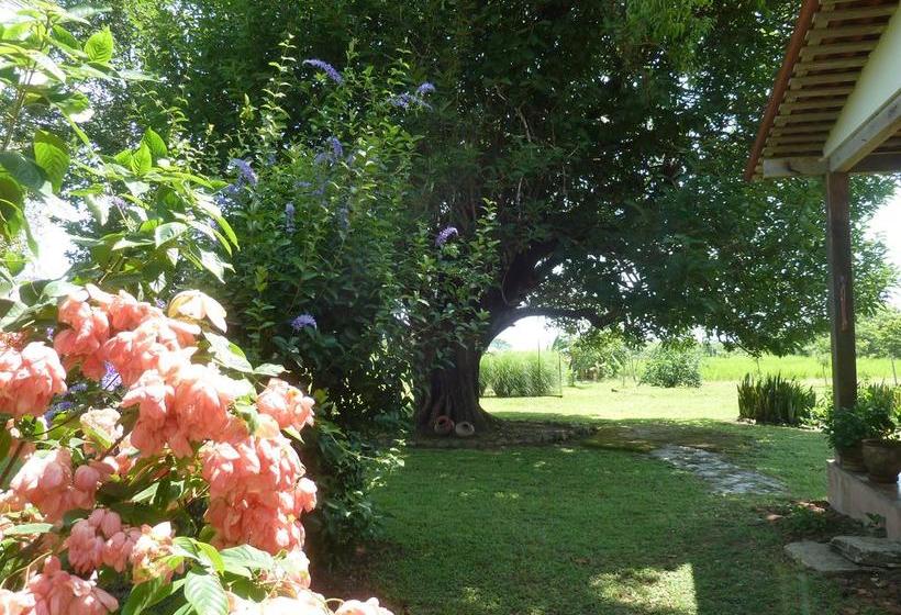 Bed and Breakfast La Rosa De Los Vientos | Pedasí | Los Santos | Panamá 18