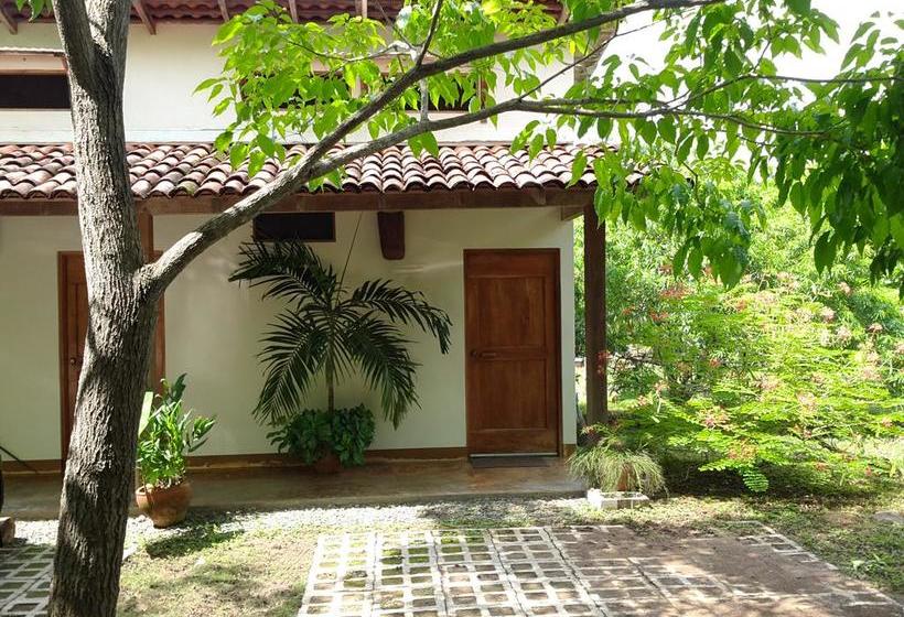 Bed and Breakfast La Rosa De Los Vientos | Pedasí | Los Santos | Panamá 20