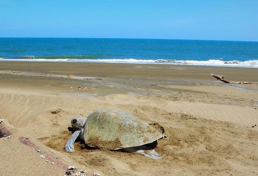 Bed and Breakfast La Rosa De Los Vientos | Pedasí | Los Santos | Panamá 3