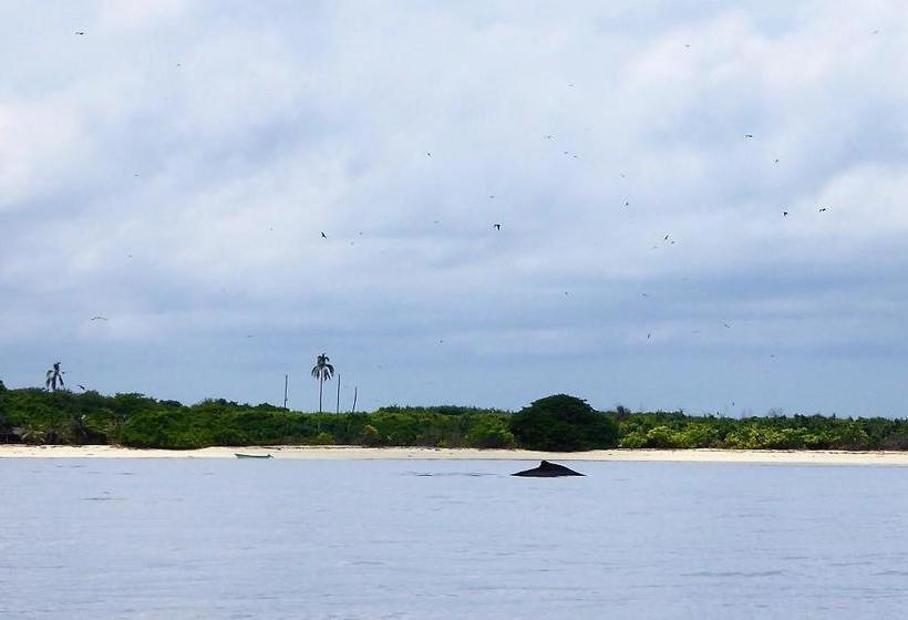 Bed and Breakfast La Rosa De Los Vientos | Pedasí | Los Santos | Panamá 7
