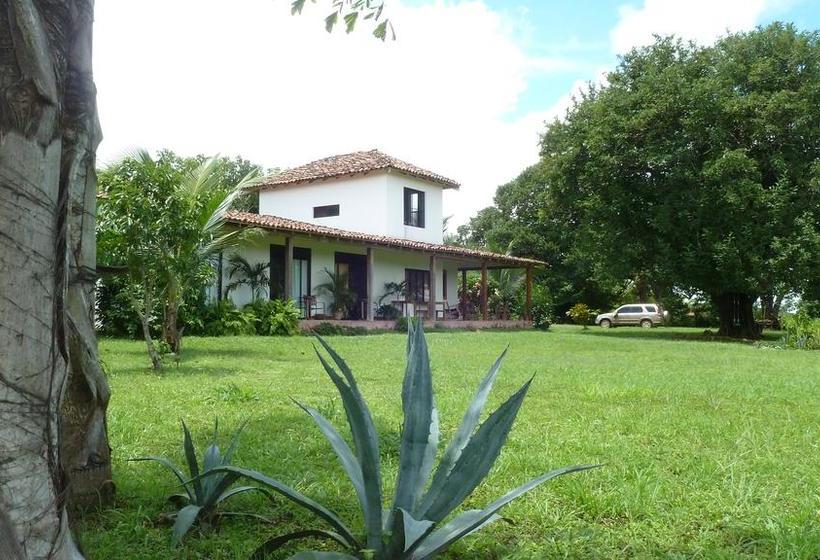 Bed and Breakfast La Rosa De Los Vientos | Pedasí | Los Santos | Panamá 9