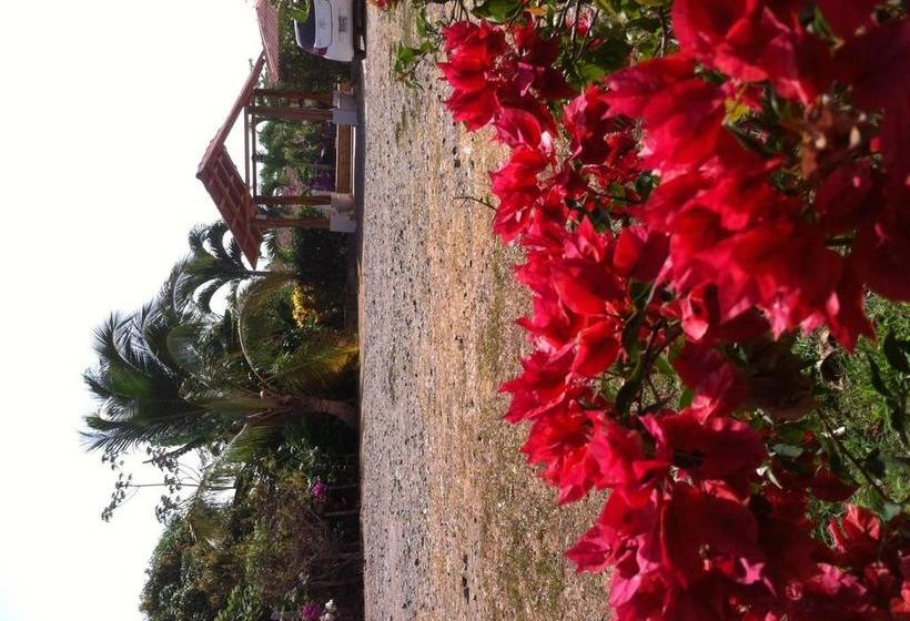 Hotel Pedasi Sports Club | Pedasí | Los Santos | Panamá 6