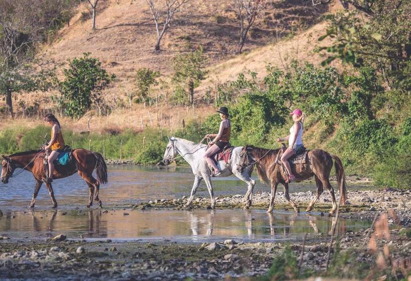 Hotel Selina Hostel Pedasi | Pedasí | Los Santos | Panamá 1