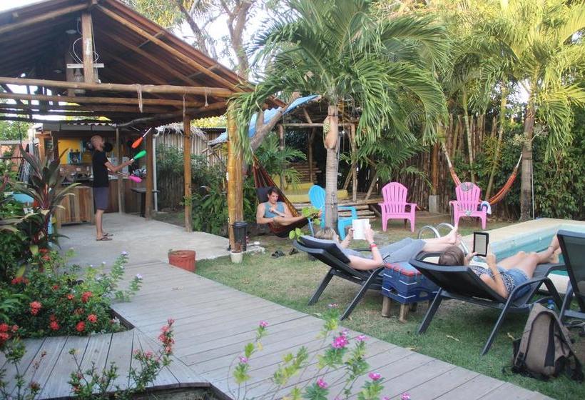 Hotel Selina Hostel Pedasi | Pedasí | Los Santos | Panamá 19