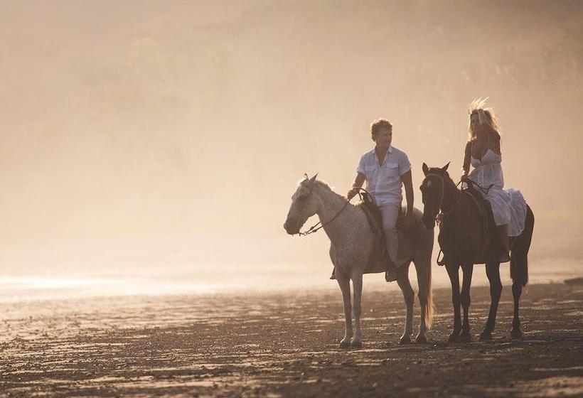 Hotel Selina Hostel Pedasi | Pedasí | Los Santos | Panamá 6