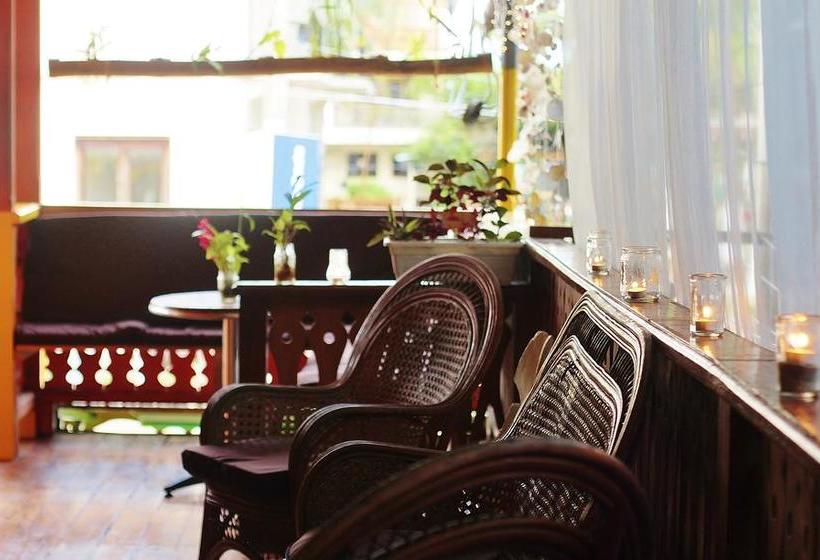 Calipso Hostel Bocas Del Toro | Bocas del Toro | Bocas del Toro | Panama 11