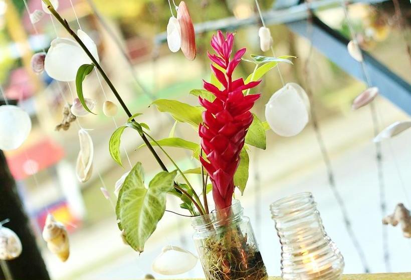 Calipso Hostel Bocas Del Toro | Bocas del Toro | Bocas del Toro | Panama 12