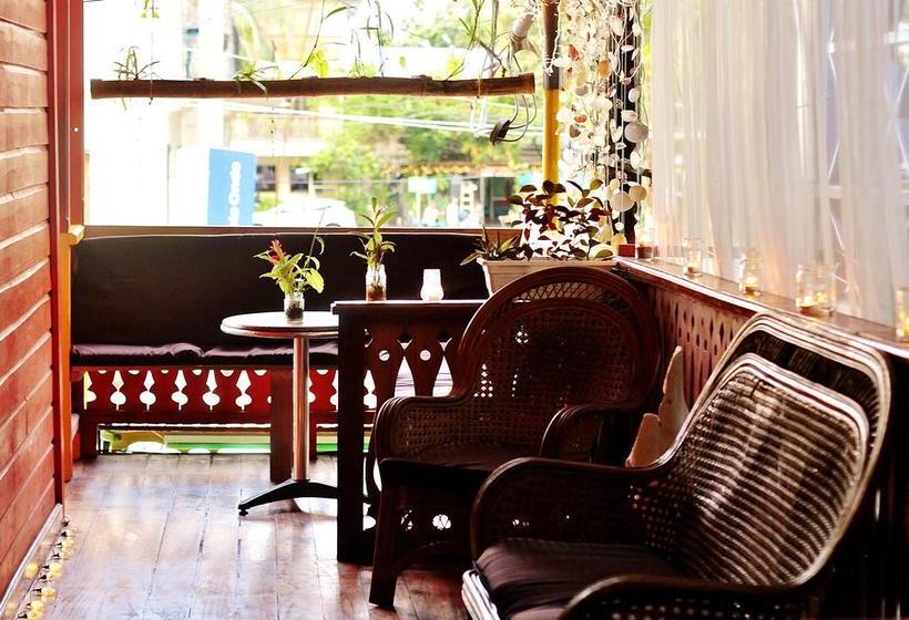 Calipso Hostel Bocas Del Toro | Bocas del Toro | Bocas del Toro | Panama 13