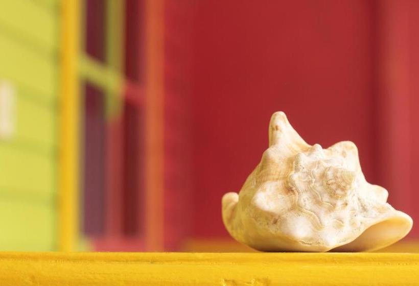 Calipso Hostel Bocas Del Toro | Bocas del Toro | Bocas del Toro | Panama 16