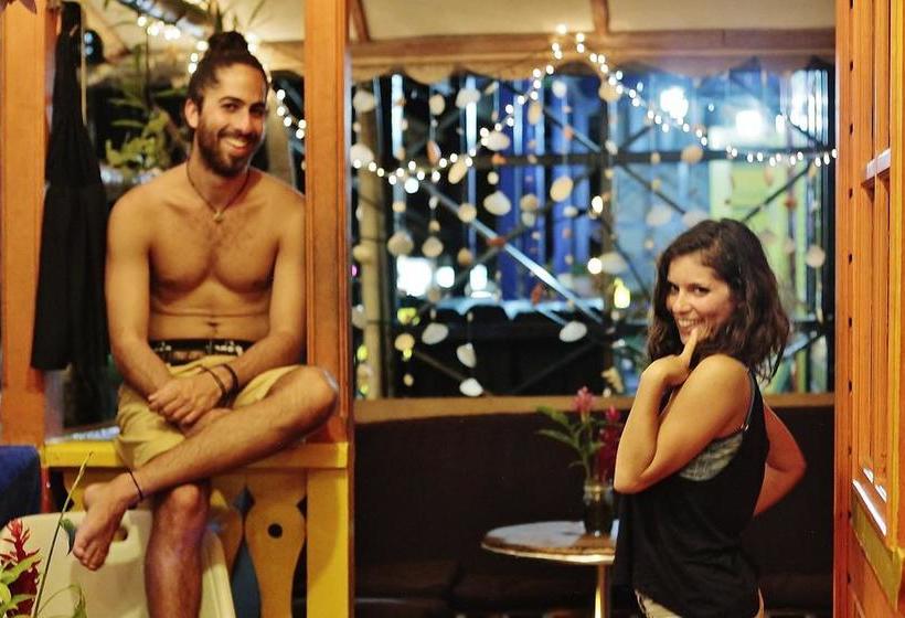 Calipso Hostel Bocas Del Toro | Bocas del Toro | Bocas del Toro | Panama 18