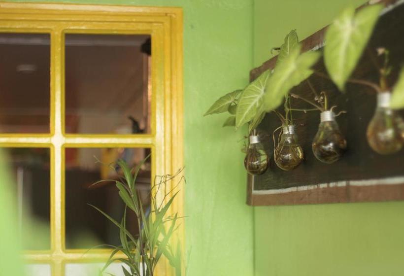 Calipso Hostel Bocas Del Toro | Bocas del Toro | Bocas del Toro | Panama 3