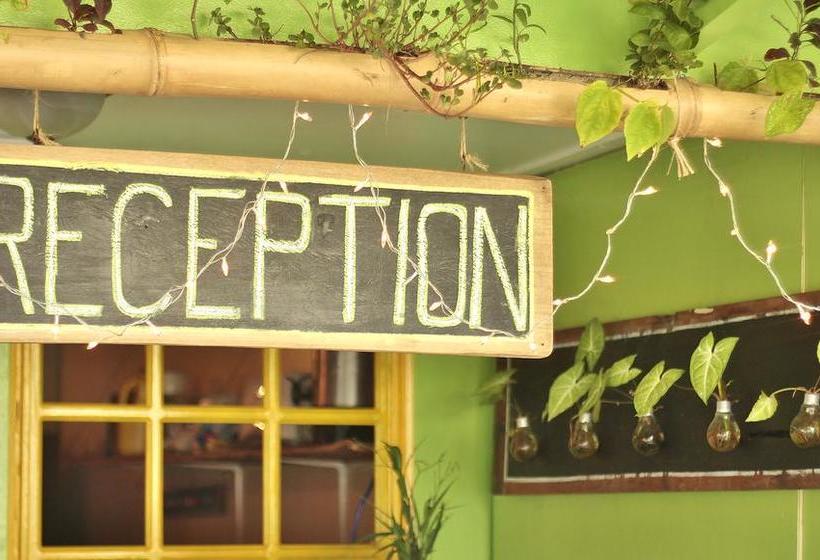 Calipso Hostel Bocas Del Toro | Bocas del Toro | Bocas del Toro | Panama 4