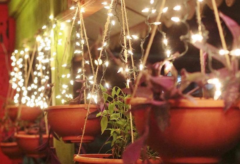 Calipso Hostel Bocas Del Toro | Bocas del Toro | Bocas del Toro | Panama 6