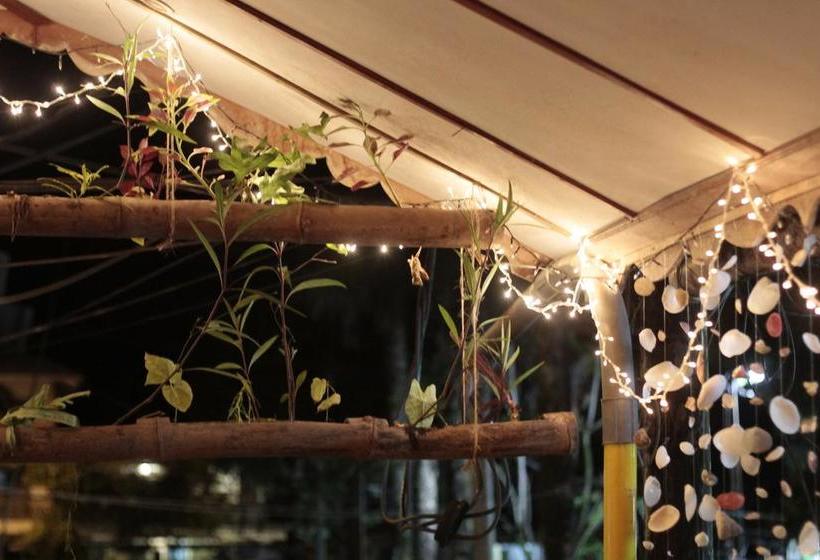 Calipso Hostel Bocas Del Toro | Bocas del Toro | Bocas del Toro | Panama 7