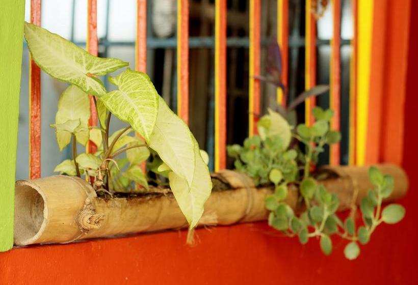 Calipso Hostel Bocas Del Toro | Bocas del Toro | Bocas del Toro | Panama 8