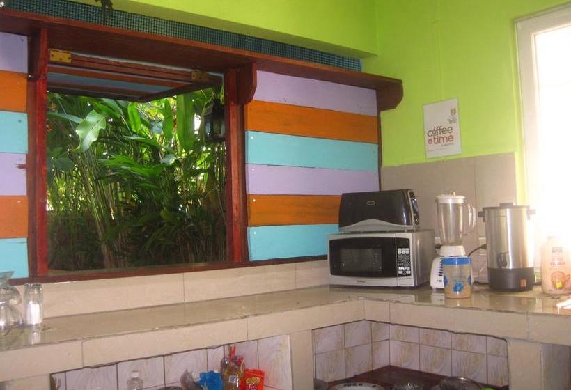 Surfari Bocas B&b | Bocas del Toro | Bocas del Toro | Panamá 1