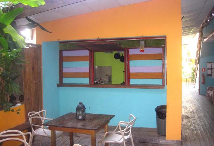 Surfari Bocas B&b | Bocas del Toro | Bocas del Toro | Panamá 2