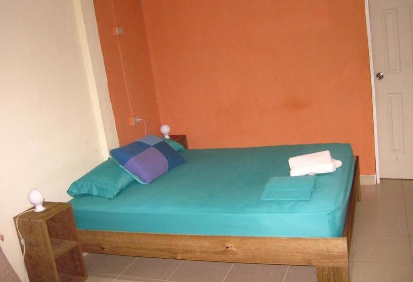 Surfari Bocas B&b | Bocas del Toro | Bocas del Toro | Panamá 5