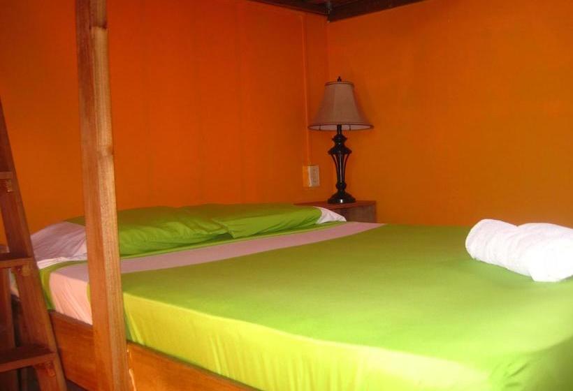 Surfari Bocas B&b | Bocas del Toro | Bocas del Toro | Panamá 6